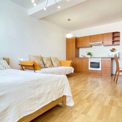 Rent of a furnished 1-room apartment, 36 m², Vajnory district, Bratislava, Slovakia